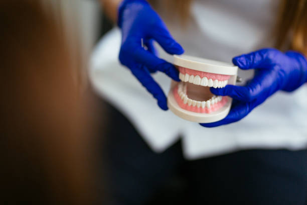 Why Choose Us for Your Dental Needs in Attalla, AL